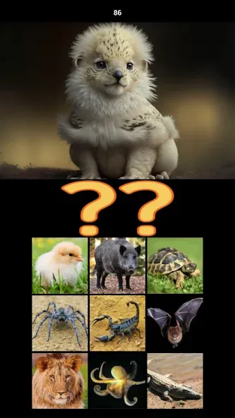 Hybrid Animals Crazy Lab Quiz (Хибридные животные Сумасшедшая лаборатория Викторина)  [МОД Много монет] Screenshot 5