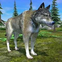 Скачать взломанную Wolf Simulator - Animal Games  [МОД Mega Pack] - полная версия apk на Андроид