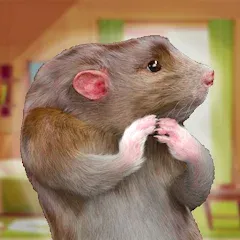 Взлом Rat Game & Mouse Simulator (Рат Лайф)  [МОД Бесконечные монеты] - последняя версия apk на Андроид