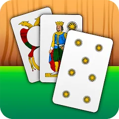 Взломанная Scopa - Italian Card Game (Скопа)  [МОД Menu] - стабильная версия apk на Андроид