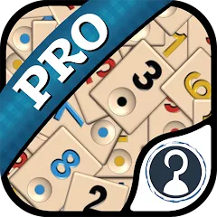 Скачать взлом Okey Pro (Окей Про)  [МОД Mega Pack] - полная версия apk на Андроид