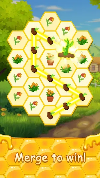 Honey Bottles - merge puzzle (Хани Ботлс)  [МОД Unlimited Money] Screenshot 2