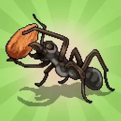 Взломанная Pocket Ants: Colony Simulator (Покет Муравьи)  [МОД Бесконечные деньги] - последняя версия apk на Андроид