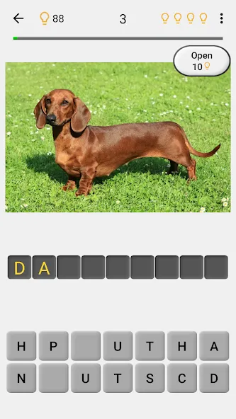 Dogs Quiz - Guess All Breeds!  [МОД Unlimited Money] Screenshot 2