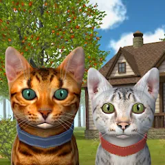 Cat Simulator : Kitties Family