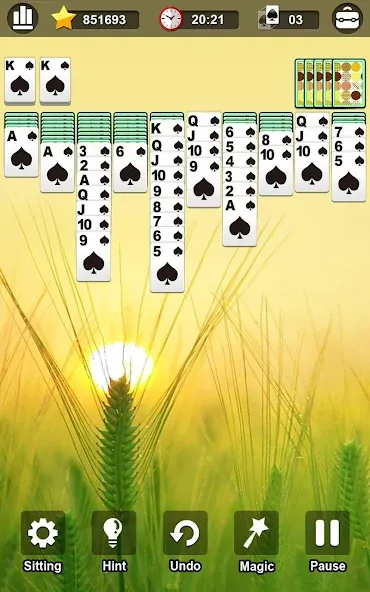 Spider Solitaire  [МОД Много монет] Screenshot 3