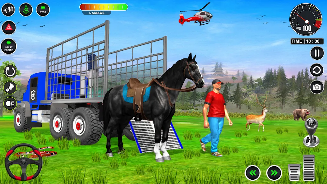 Animal Transport Truck Game 3D (Игра Грузовик для перевозки животных)  [МОД Бесконечные монеты] Screenshot 5