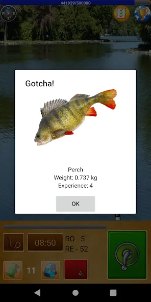 Fishing For Friends  [МОД Бесконечные монеты] Screenshot 2