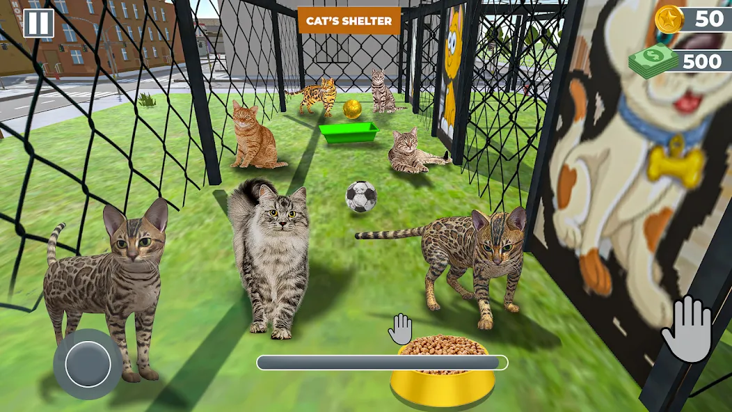 Animal Shelter: Pet Rescue 3D  [МОД Бесконечные монеты] Screenshot 2