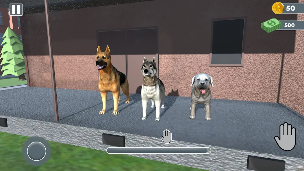 Animal Shelter: Pet Rescue 3D  [МОД Бесконечные монеты] Screenshot 3