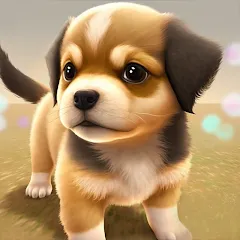 Скачать взломанную Dog Town: Puppy Pet Shop Games (Догтаун)  [МОД Бесконечные деньги] - последняя версия apk на Андроид