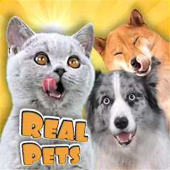 Взломанная Adopt a pet : Corgi Games (Риал Петс бай Фруви)  [МОД Много денег] - полная версия apk на Андроид