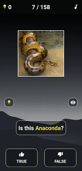 Animal Quiz: Guess the Animal  [МОД Unlimited Money] Screenshot 3