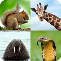 Взлом Animal Quiz: Guess the Animal  [МОД Unlimited Money] - стабильная версия apk на Андроид