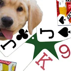 Скачать взлом K9 Euchre (К9 Юкер)  [МОД Unlimited Money] - стабильная версия apk на Андроид