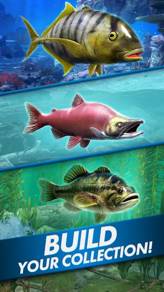 Ultimate Fishing! Fish Game  [МОД Menu] Screenshot 5