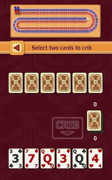 Cribbage (Криббидж)  [МОД Много денег] Screenshot 4