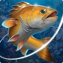 Скачать взлом Fishing Hook  [МОД Бесконечные монеты] - стабильная версия apk на Андроид