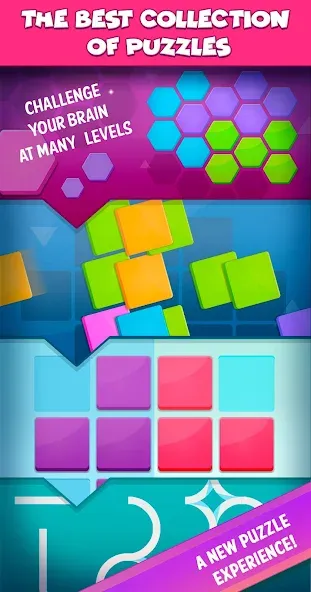 Smart Puzzles Collection  [МОД Много денег] Screenshot 4