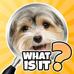 Взломанная What is it? Pics Trivia Quiz  [МОД Unlimited Money] - полная версия apk на Андроид