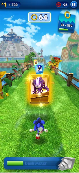 Sonic Dash - Endless Running (Соник Дэш)  [МОД Все открыто] Screenshot 4