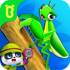 Взломанная Little Panda's Insect World  [МОД Бесконечные монеты] - полная версия apk на Андроид