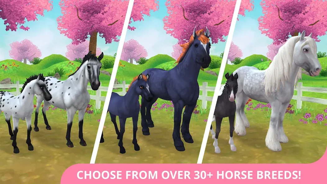 Star Stable Horses (СТар Стабл Хорсес)  [МОД Бесконечные деньги] Screenshot 1