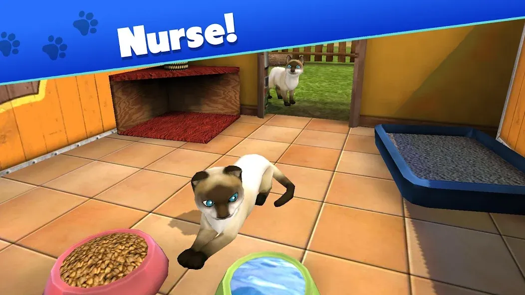 Pet World - My Animal Shelter (Пет Ворлд)  [МОД Unlocked] Screenshot 3