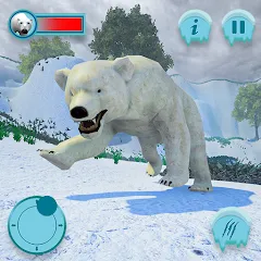 Скачать взлом Polar Bear Family Survival  [МОД Бесконечные монеты] - стабильная версия apk на Андроид