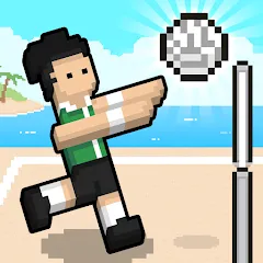 Скачать взлом Volley Random (Воллей Рэндом)  [МОД Много монет] - стабильная версия apk на Андроид