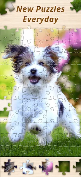 Jigsaw Premium Puzzles HD (Джигсоу)  [МОД Mega Pack] Screenshot 5