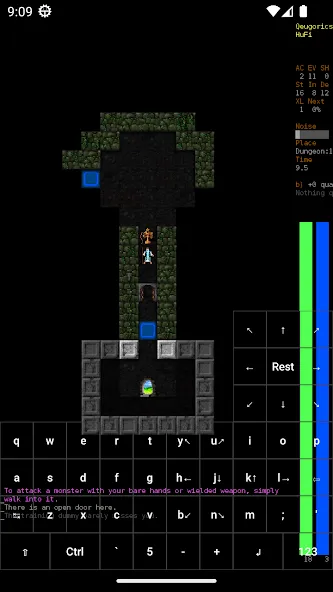 Dungeon Crawl Stone Soup (Данжен Кролл Стоун Суп)  [МОД Много денег] Screenshot 3