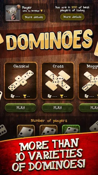 Dominoes  [МОД Много монет] Screenshot 4